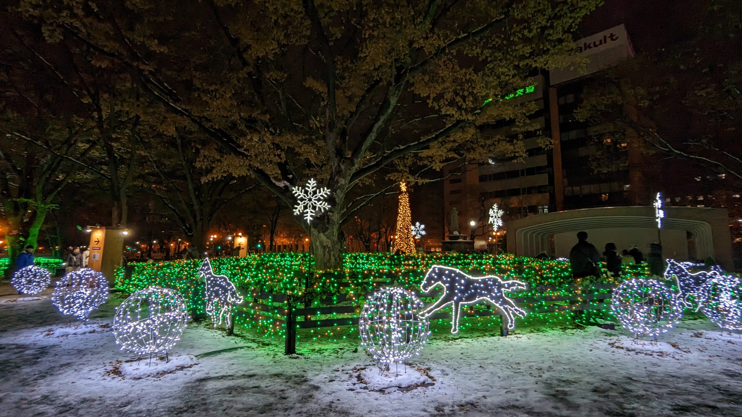 【北海道｜札幌】札幌白色燈樹節，全日本最早的聖誕燈會，相約到冰雪世界賞夢幻燈海