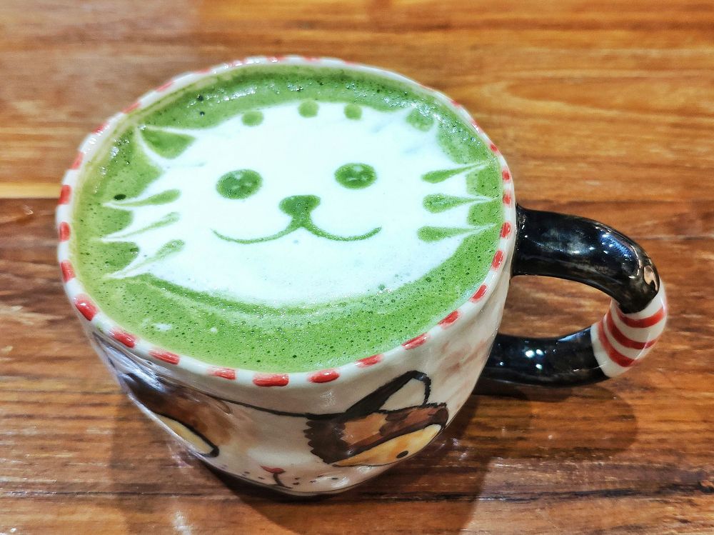【新北美食】貓泰泰咖啡餐廳｜貓奴必訪！是貓的快樂天堂，也是美味泰食餐廳（已歇業）