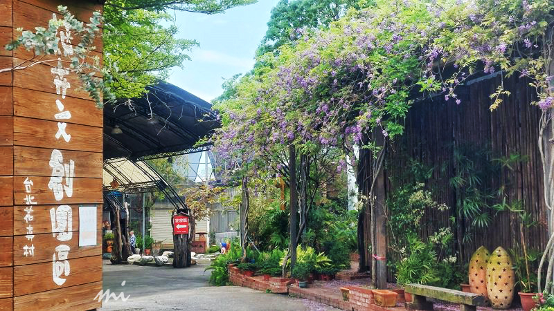 【台北景點】台北花卉村｜都市裡的秘密花園，買植物順便拍美照，紫藤花開得正美，入場、停車都免費