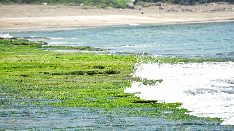 【新北景點】拍攝綠石槽懶人攻略！最美綠石槽秘境入口大公開，還要教你學會用手機輕鬆拍出仙境質感的抹茶海岸