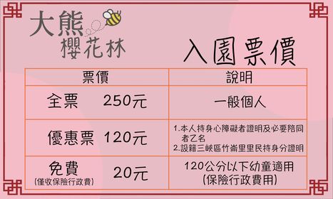 【新北景點】大熊櫻花林｜超過4000株櫻花浪漫盛放，穿梭櫻花隧道秒到日本