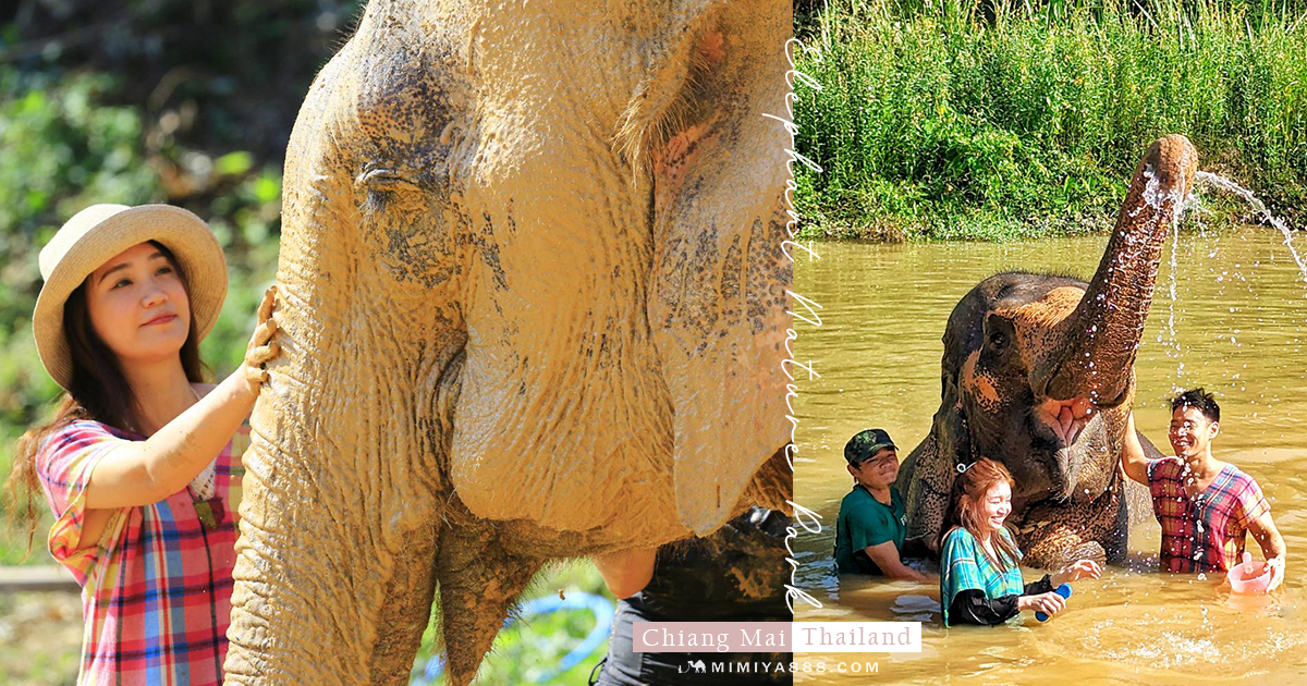 【泰國．清邁】清邁大象自然保護區半日遊，陪大象洗澡玩泥巴，近距離親近大象 @下一站，天涯